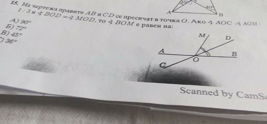 received_2013878178938828-1.jpg