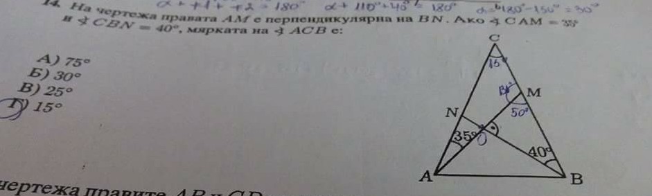 received_2013880495605263-1.jpg