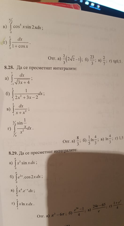 58823355_503588613510214_6377037093138333696_n.jpg
