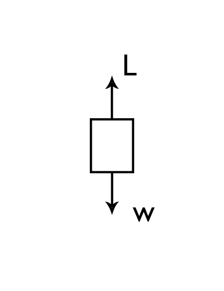 diag.png