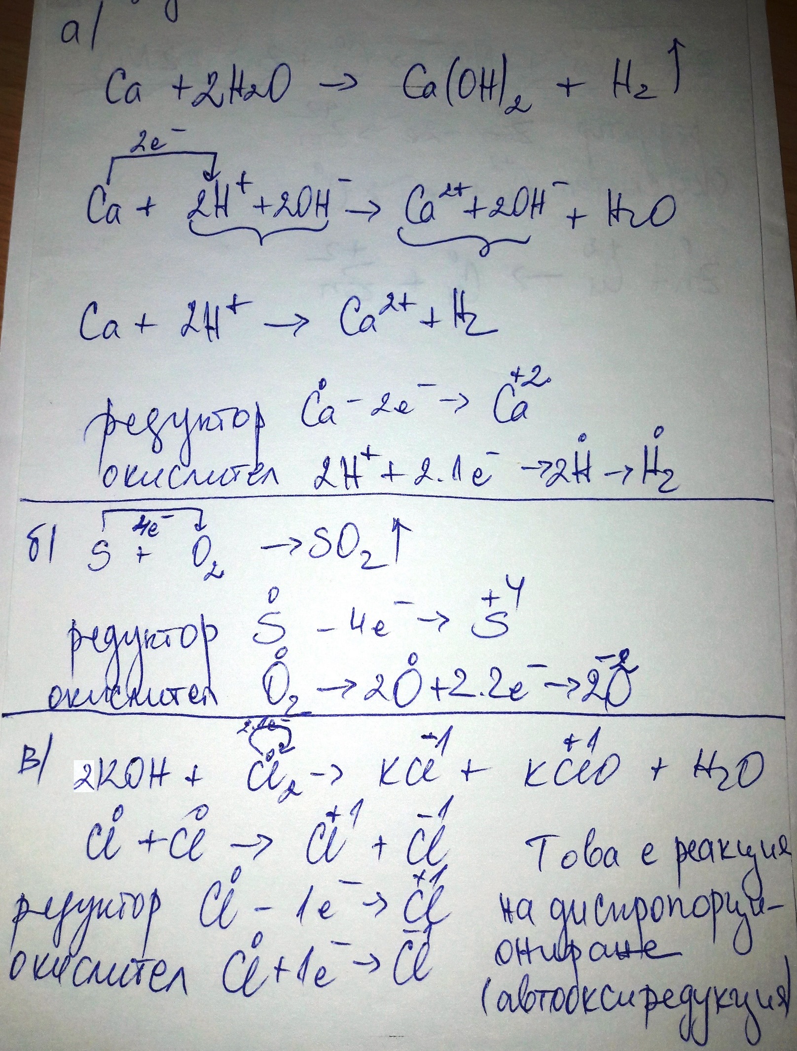 20200413_140515.jpg