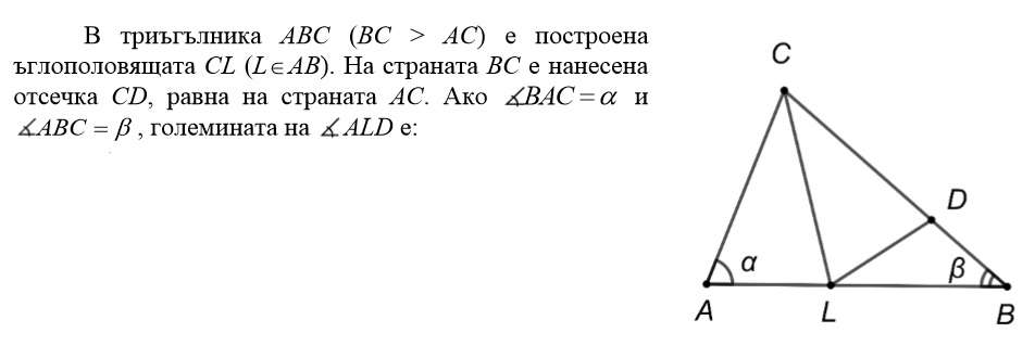 z155.jpg