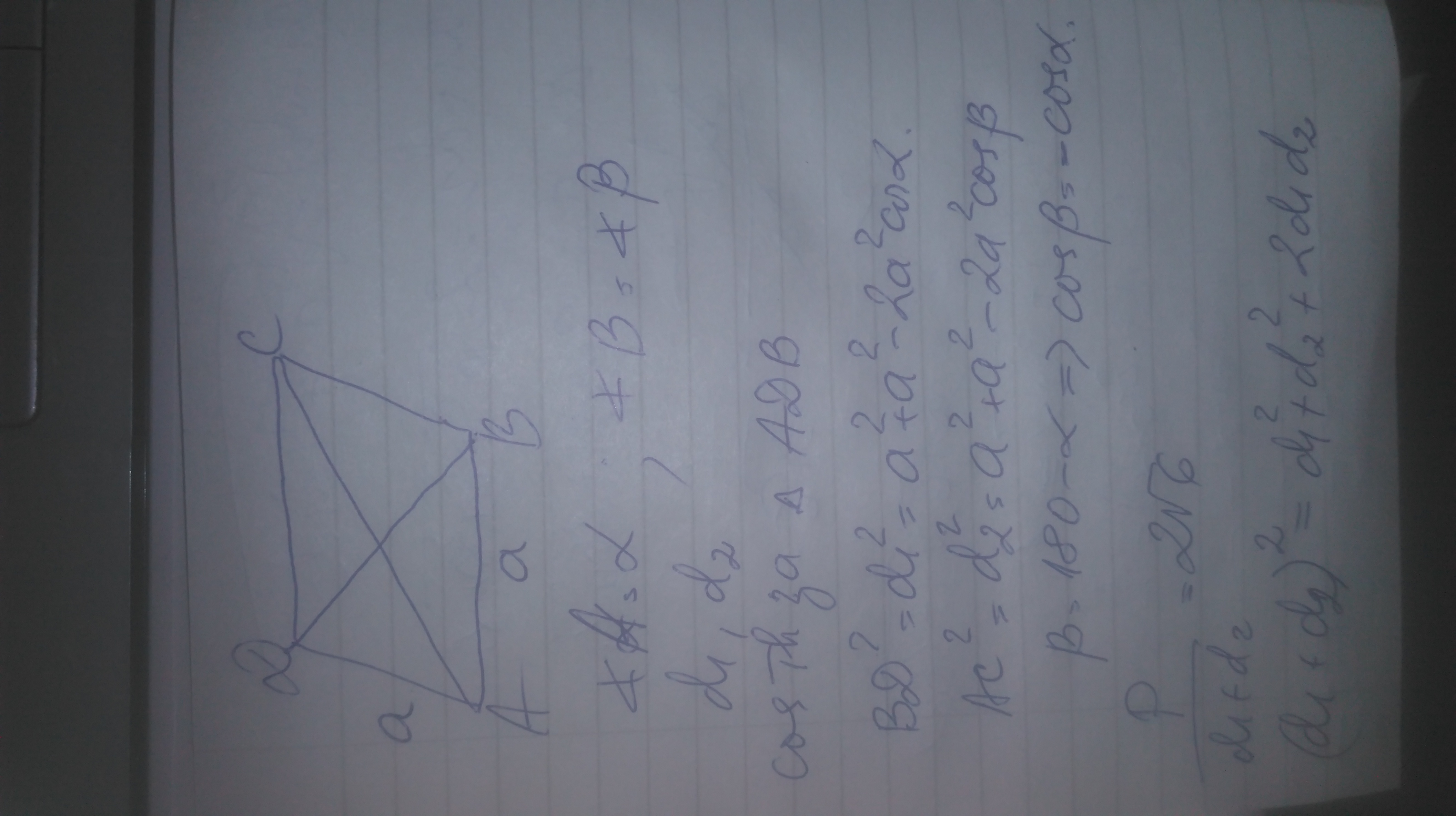 IMAG0139.jpg