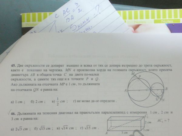 P1060556.JPG