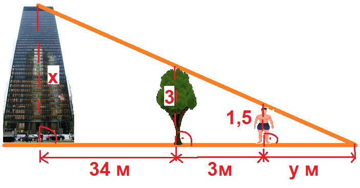 tree.png