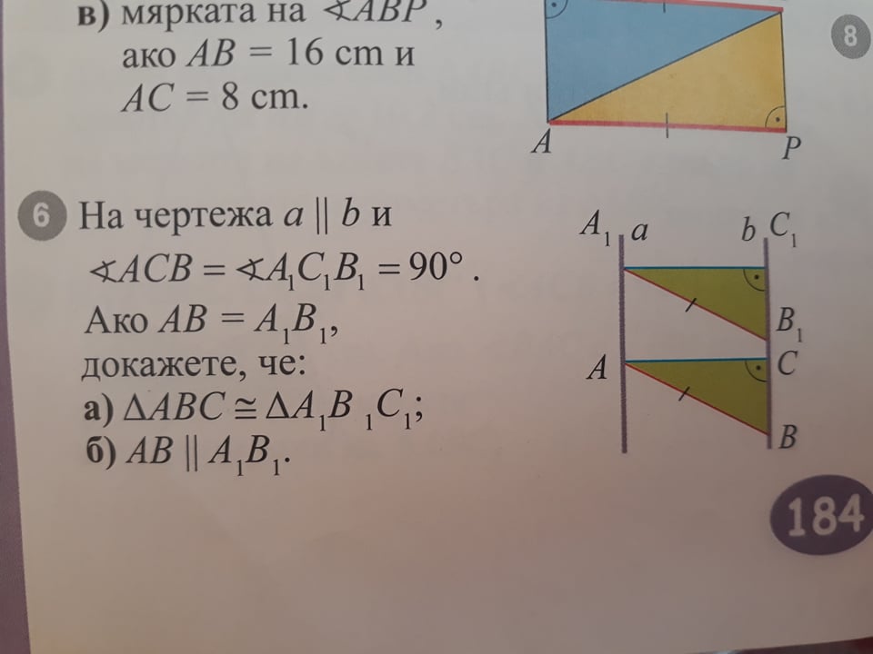 167565710_494780101898999_267001641274774475_n.jpg