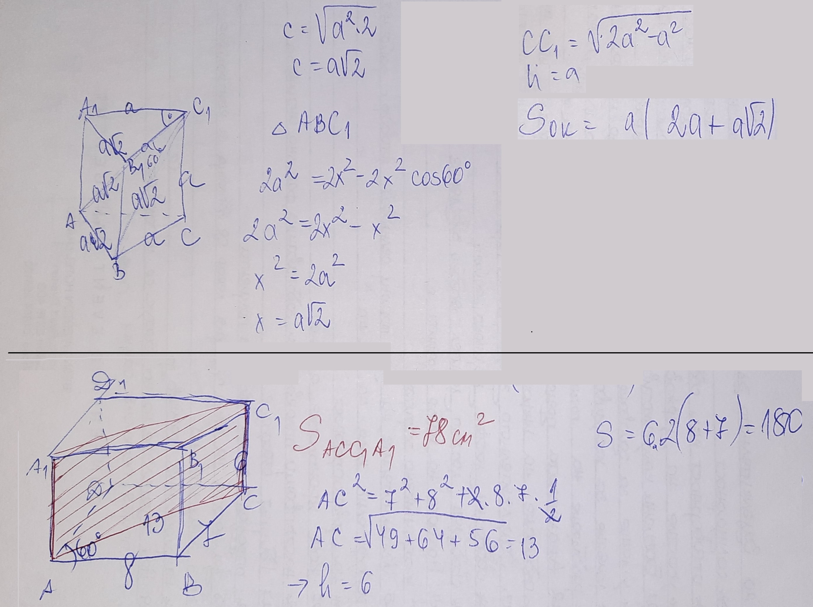20220418_172827.jpg