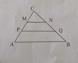 D43D7EC7-84F6-4019-ADD9-CFC6764FA99B.jpeg