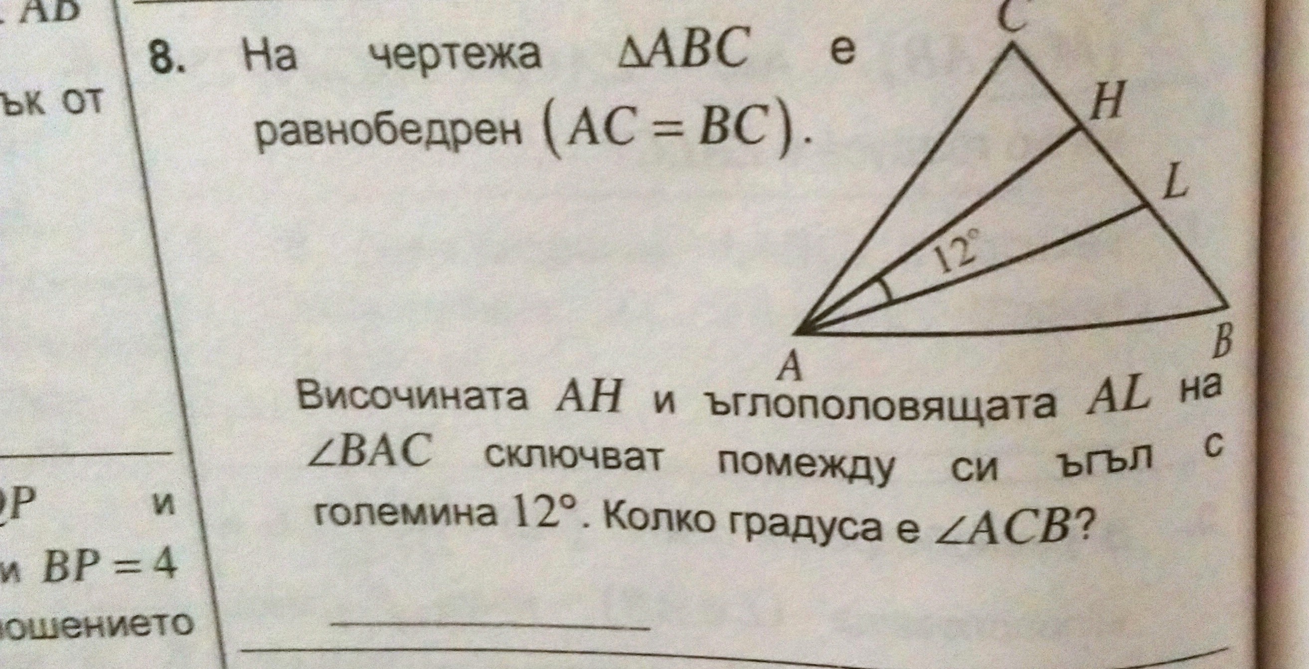 _20230304_132225.JPG