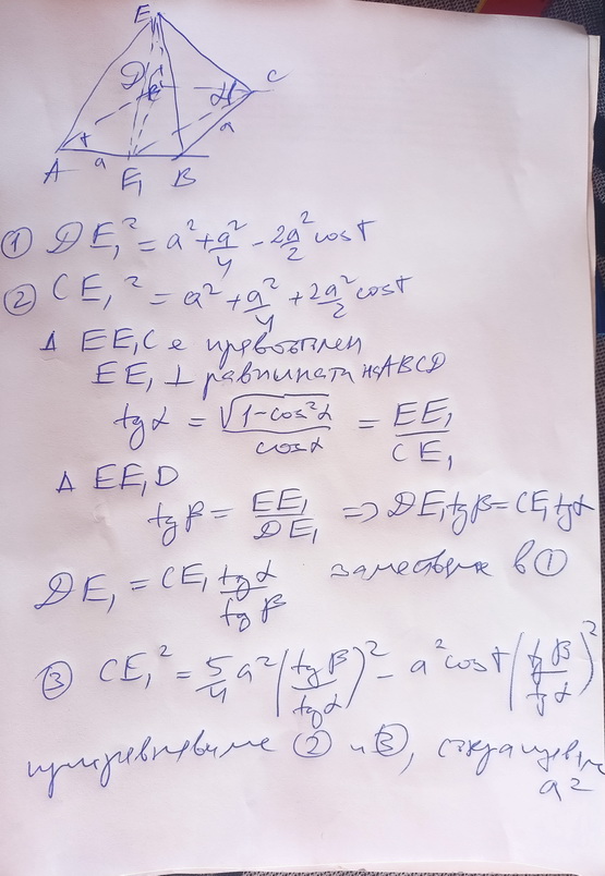 IMG202303050957541.jpg