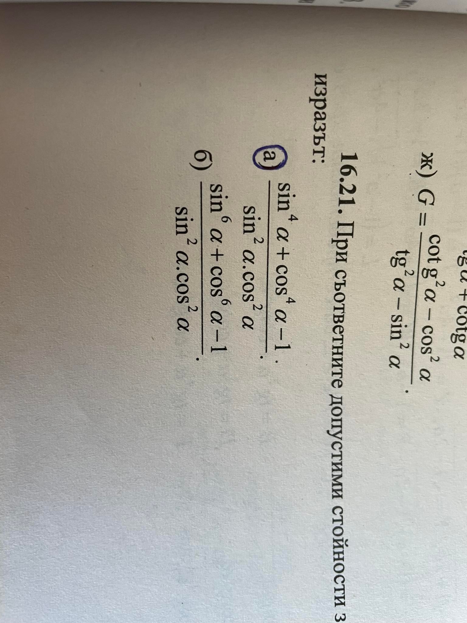 337894101_180742354765769_3336692626258190288_n.jpg