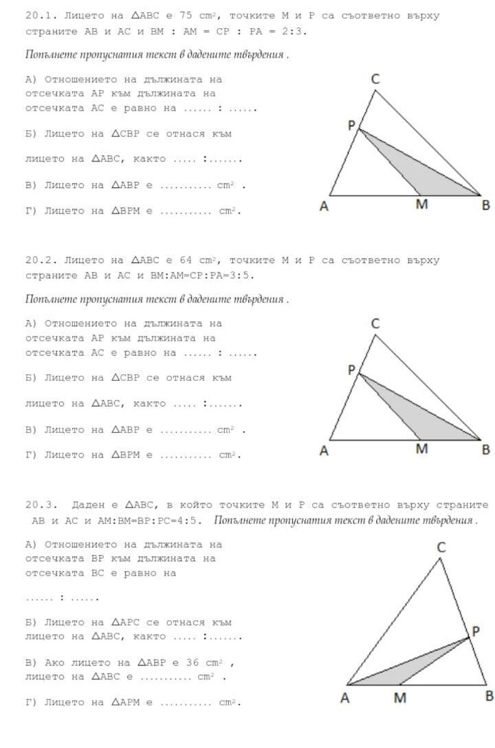 350377776_6154665701235816_8503577576009627783_n (1).jpg