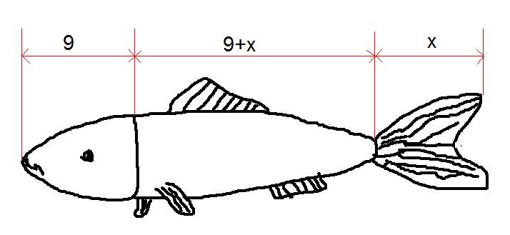 riba.JPG