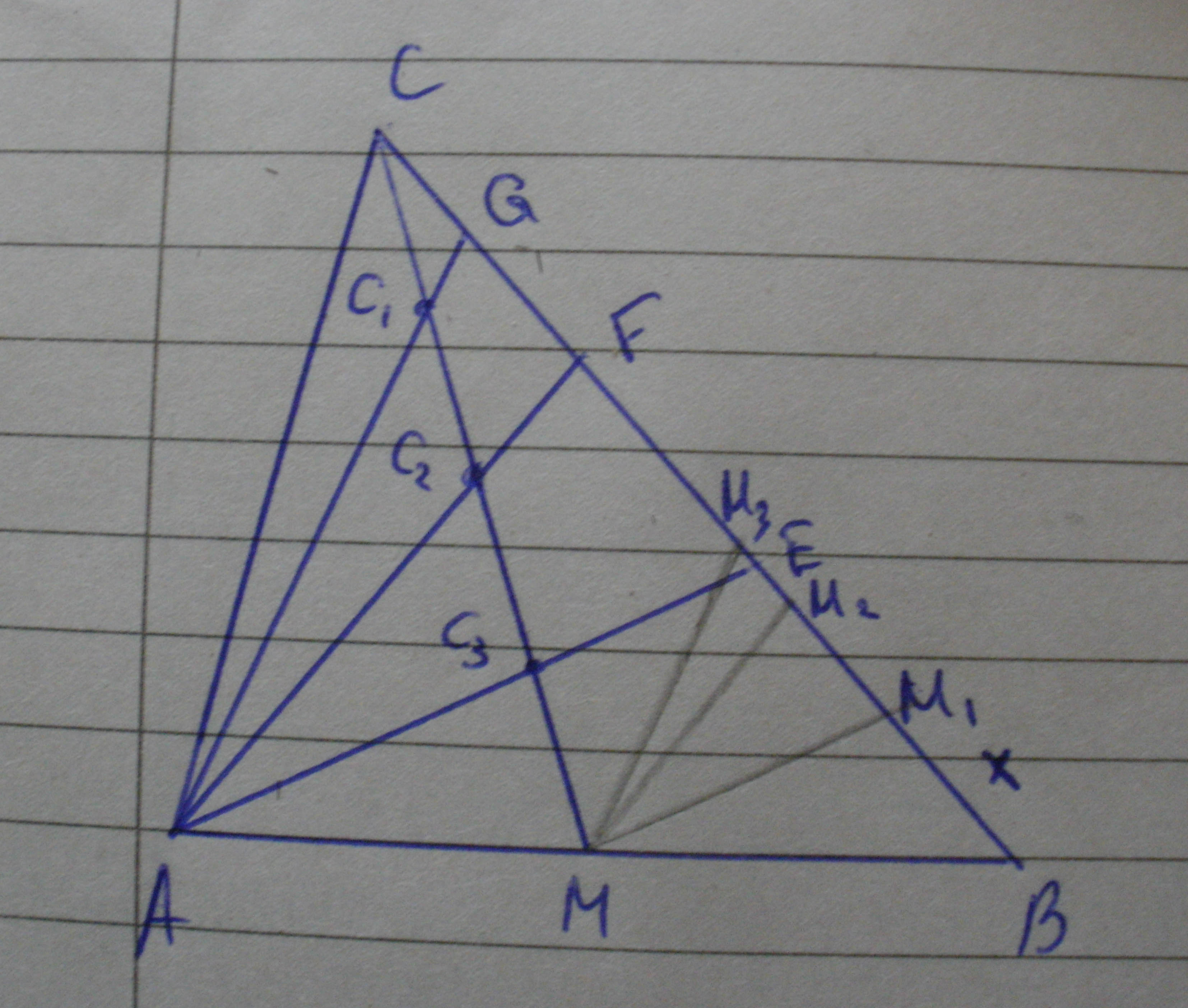 P1150103.jpg