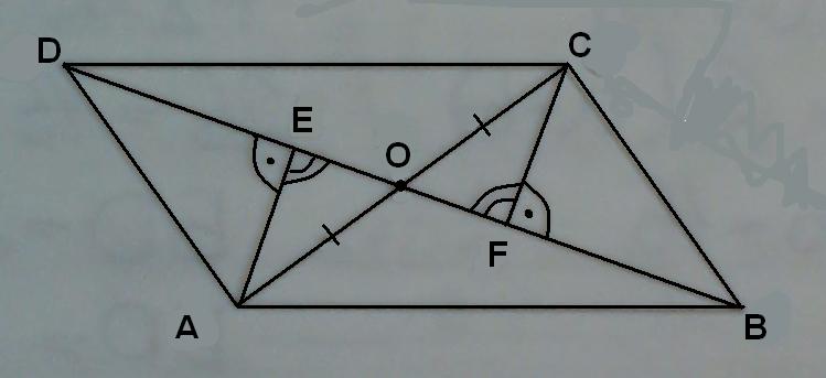 DSC00276.jpg