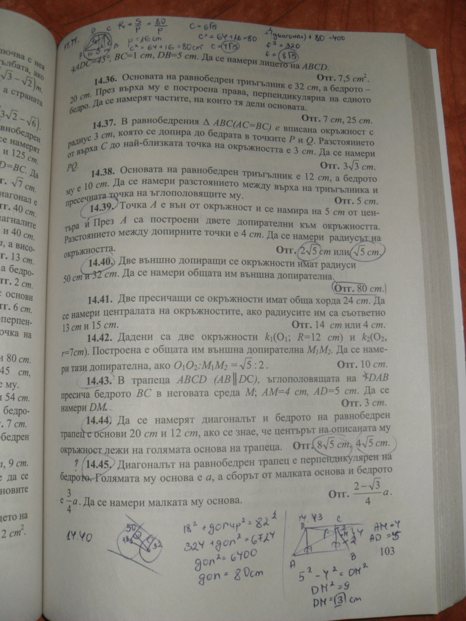 SDC12540.JPG