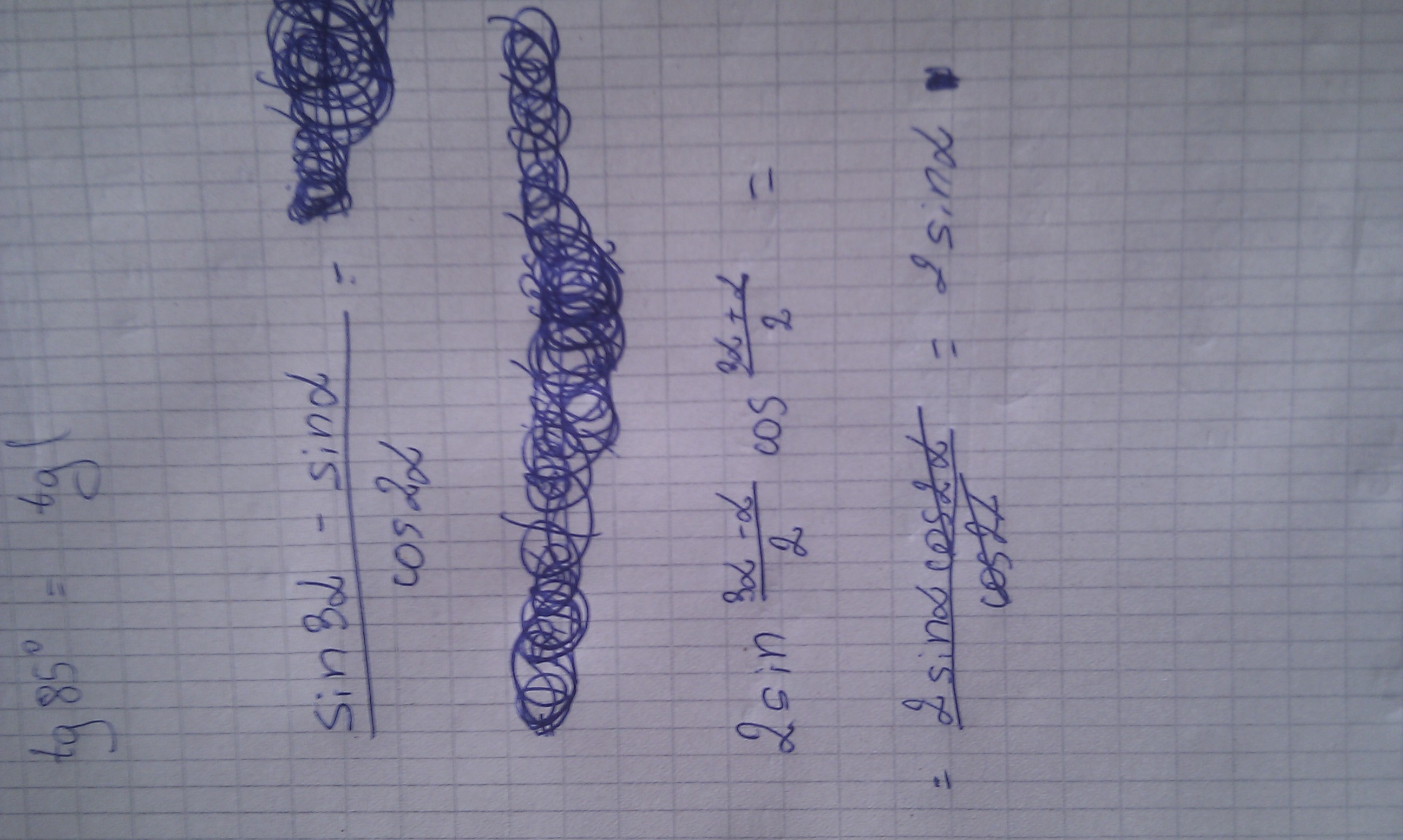 IMAG0097.jpg