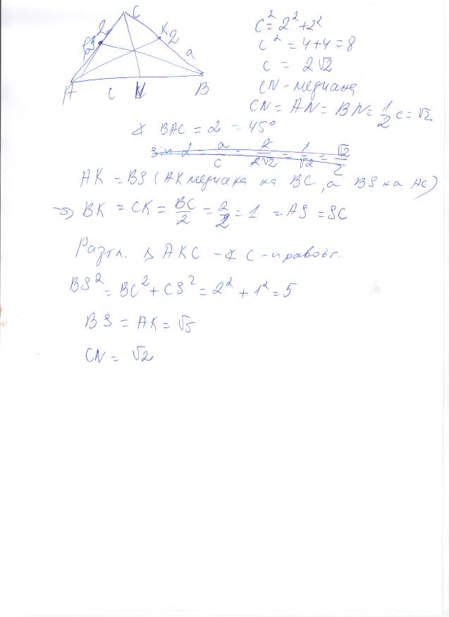 Медиани.JPG