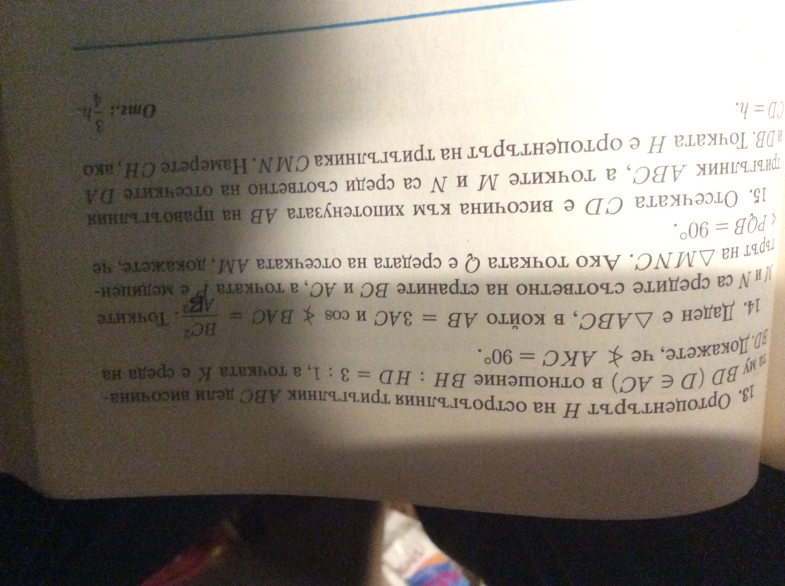 image.jpeg