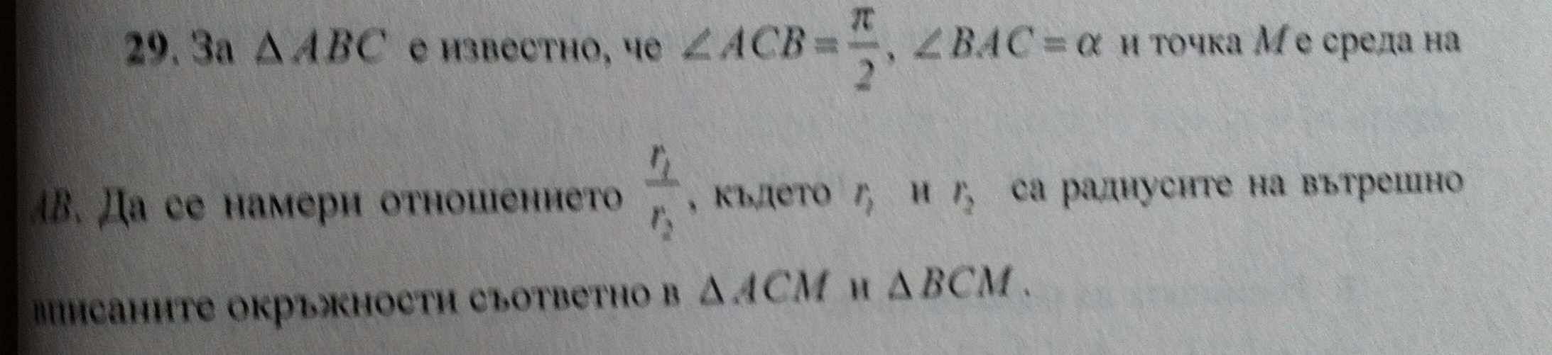 z29.png