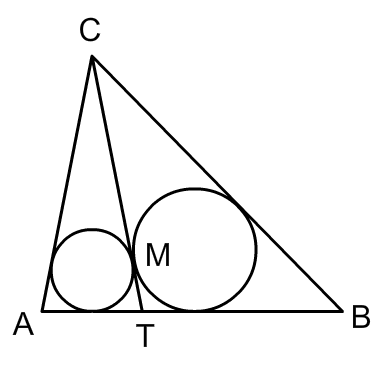 tg1.png