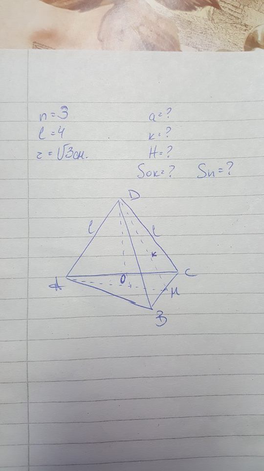 18051542_256835181456274_112486656_n.jpg